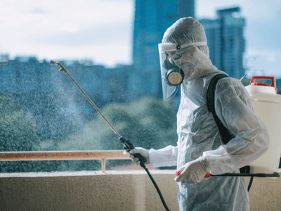 About Weston German Roach Pros - german roach extermination weston fl experts in Weston